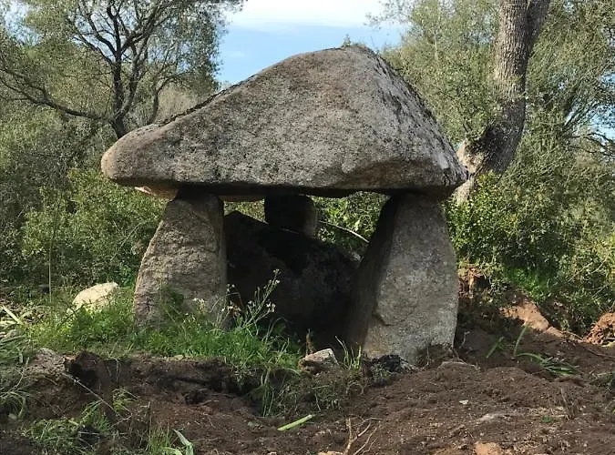 Li Casacci 住宿加早餐酒店 阿尔扎凯纳