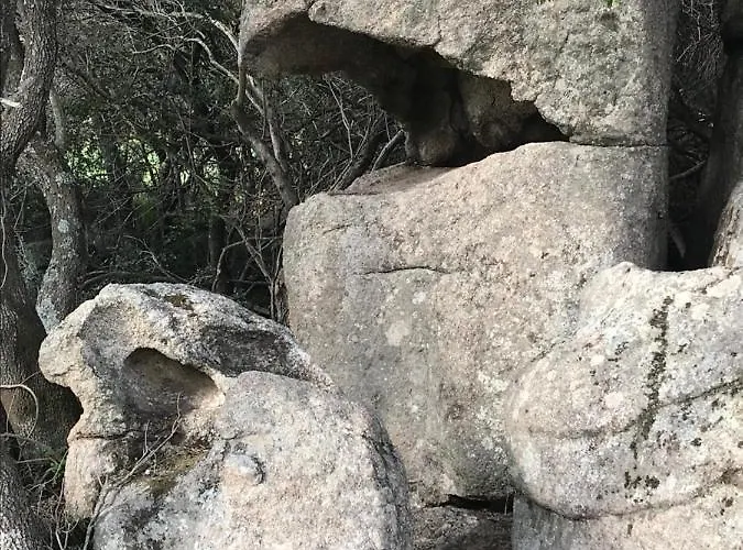 Li Casacci 阿尔扎凯纳